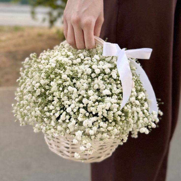 Корзины с гипсофилами