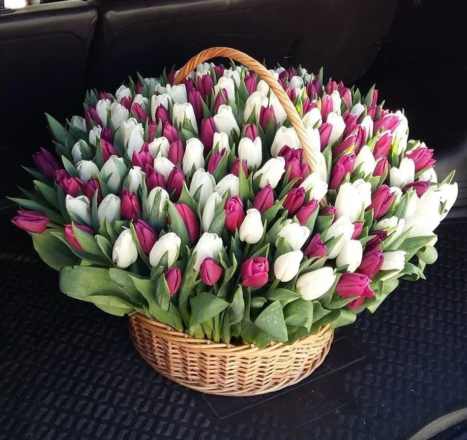 Корзина из 151 тюльпана MIX в Ростове-на-Дону