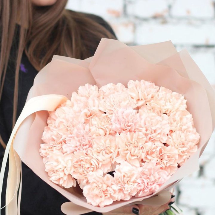 Диантусы №2 в Ростове-на-Дону