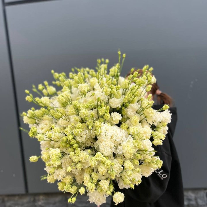 51 белая эустома в Ростове-на-Дону