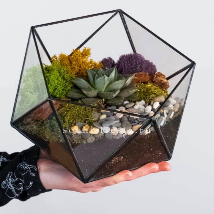 Флорариум “Икосаэдр” с суккулентом Каменная Роза в Ростове-на-Дону