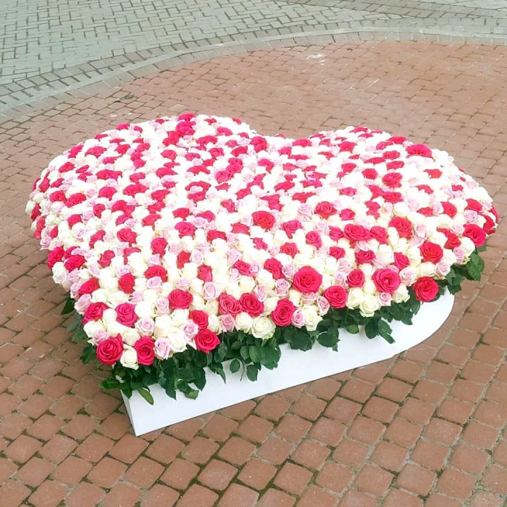 555 роза Heart в Ростове-на-Дону