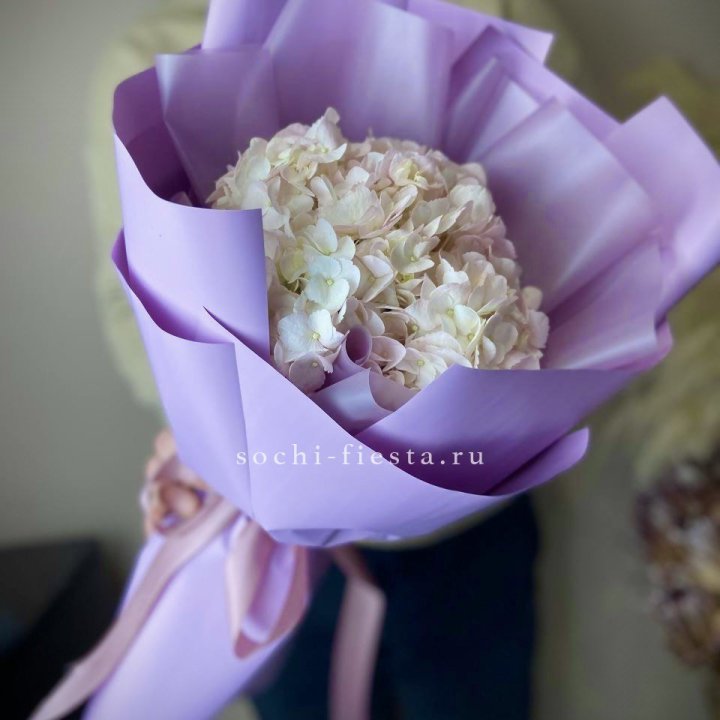 Гортензия розовая с доставкой в Ростове-на-Дону