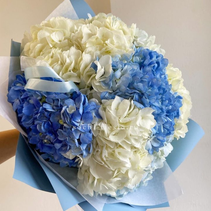 Букет гортензий "Голубая лаза" в Ростове-на-Дону