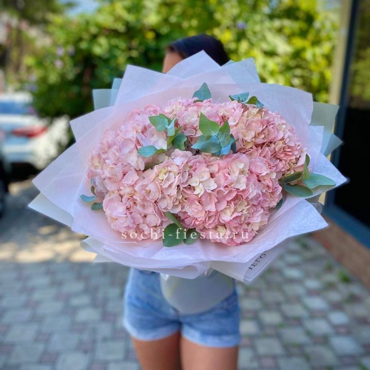 5 розовых гортензий  в Ростове-на-Дону