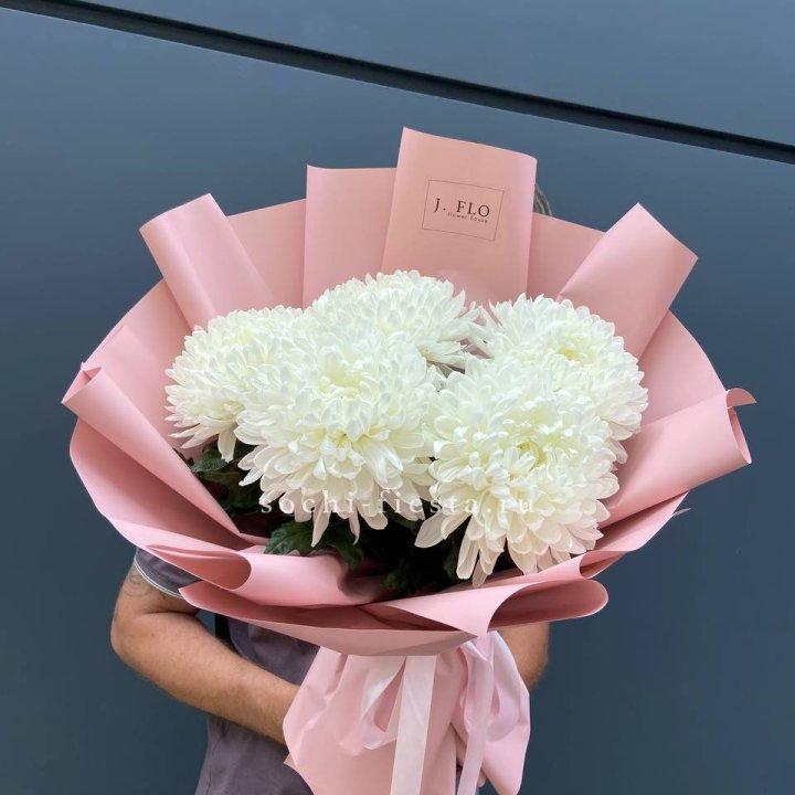 Профитроли №2 в Ростове-на-Дону