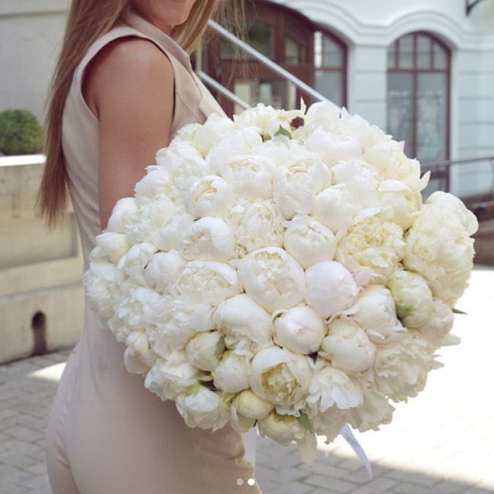 51 белый пион в Ростове-на-Дону