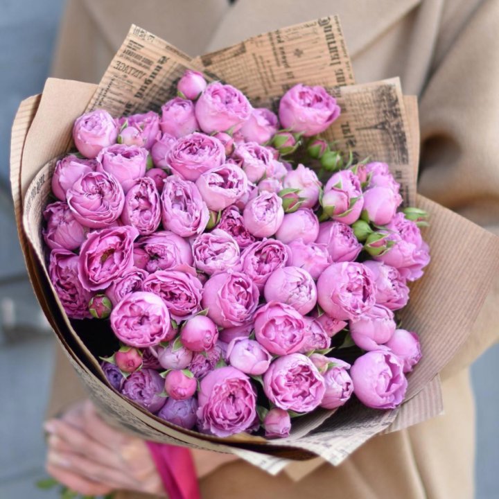 Роза Мисти Баблс в Ростове-на-Дону