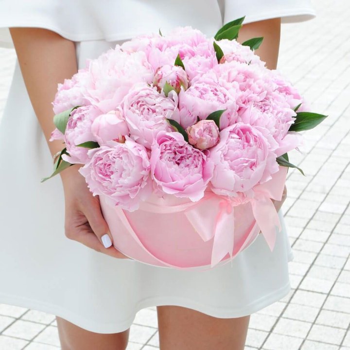 Пионы в шляпной коробке в Ростове-на-Дону