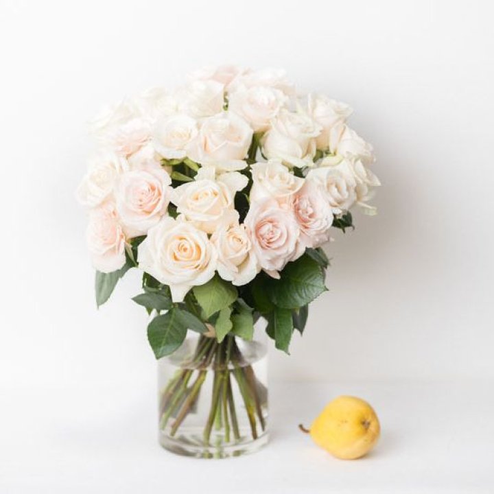 25 кремовых роз в Ростове-на-Дону