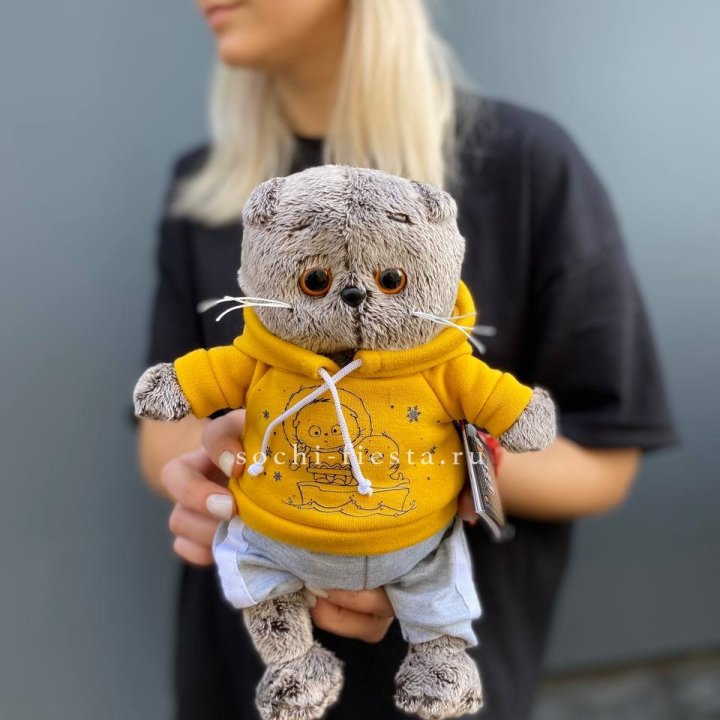 Кот Басик в худи в Ростове-на-Дону