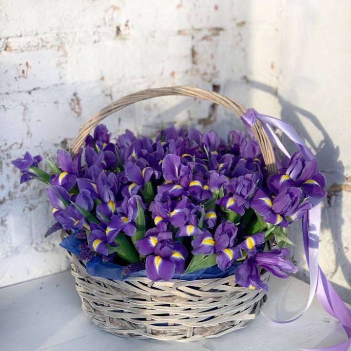 Корзина из 51 ириса в Ростове-на-Дону