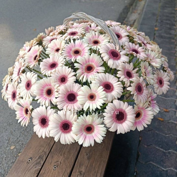 Корзина с герберами XXL в Ростове-на-Дону