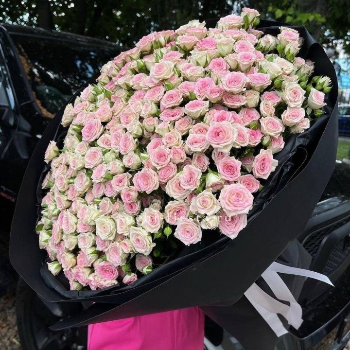 101 кустовая роза "Твистер" в Ростове-на-Дону