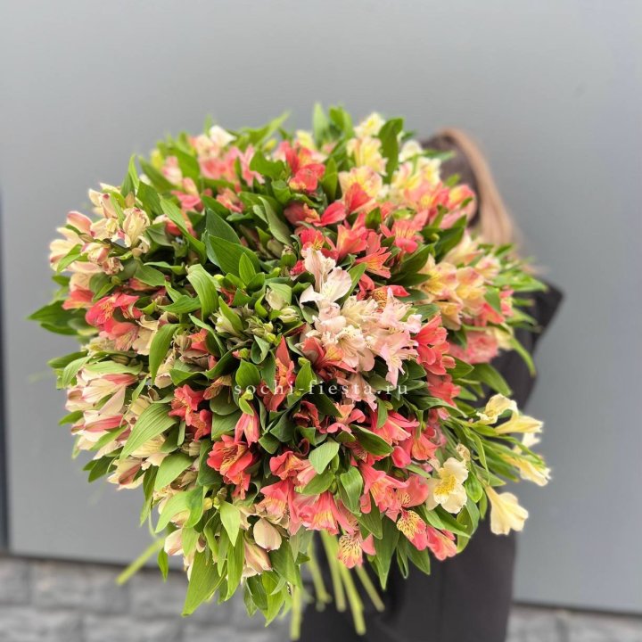 51 альстромерия в Ростове-на-Дону