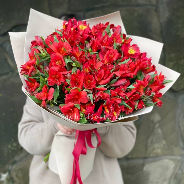 51 альстромерия в Ростове-на-Дону