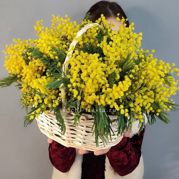 Корзина ароматной мимозы с доставкой в Ростове-на-Дону