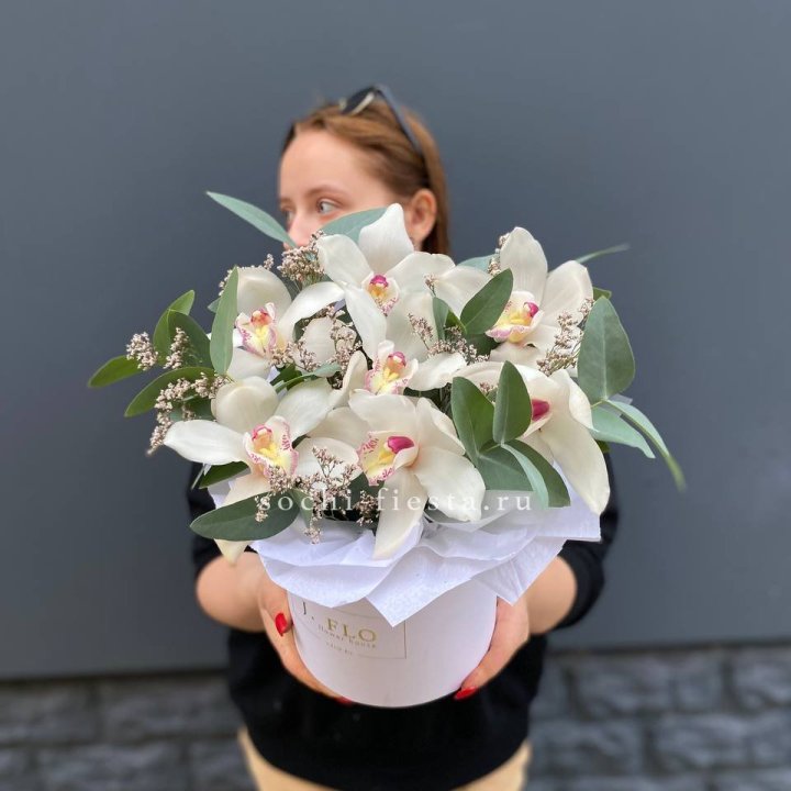 7 орхидей в боксе в Ростове-на-Дону