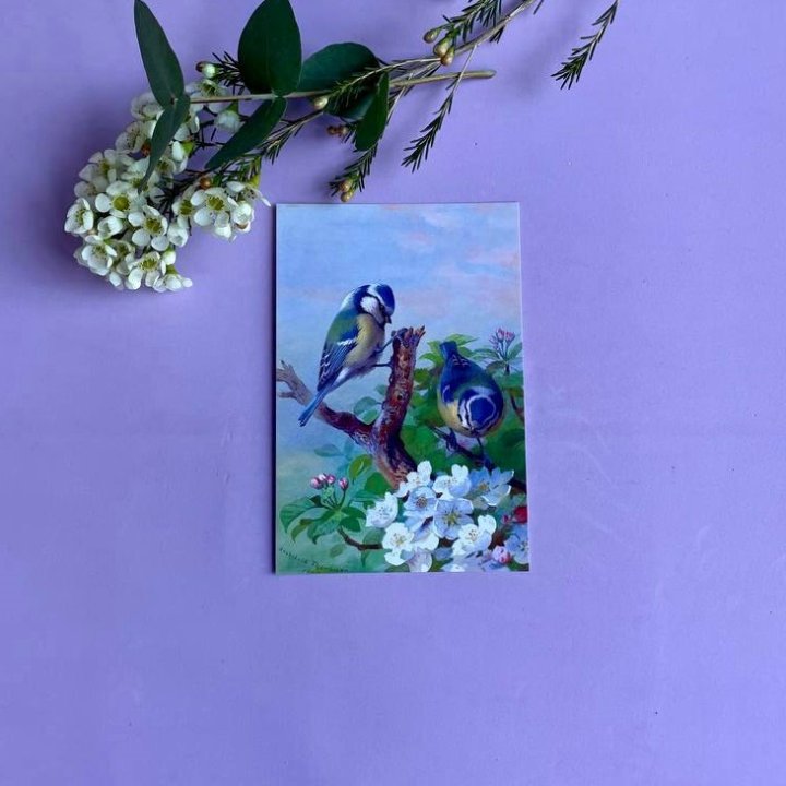 Открытка к букету "Птицы" в Ростове-на-Дону