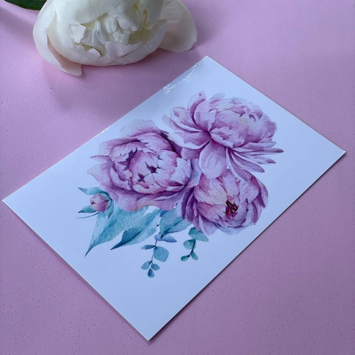 Открытка к букету "Пионы" в Ростове-на-Дону