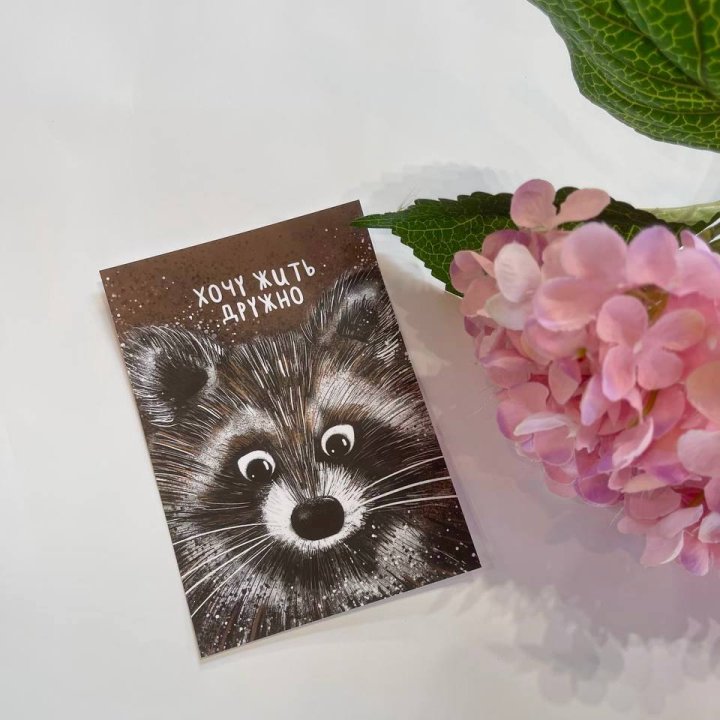 Открытка к букету "Енотик" в Ростове-на-Дону