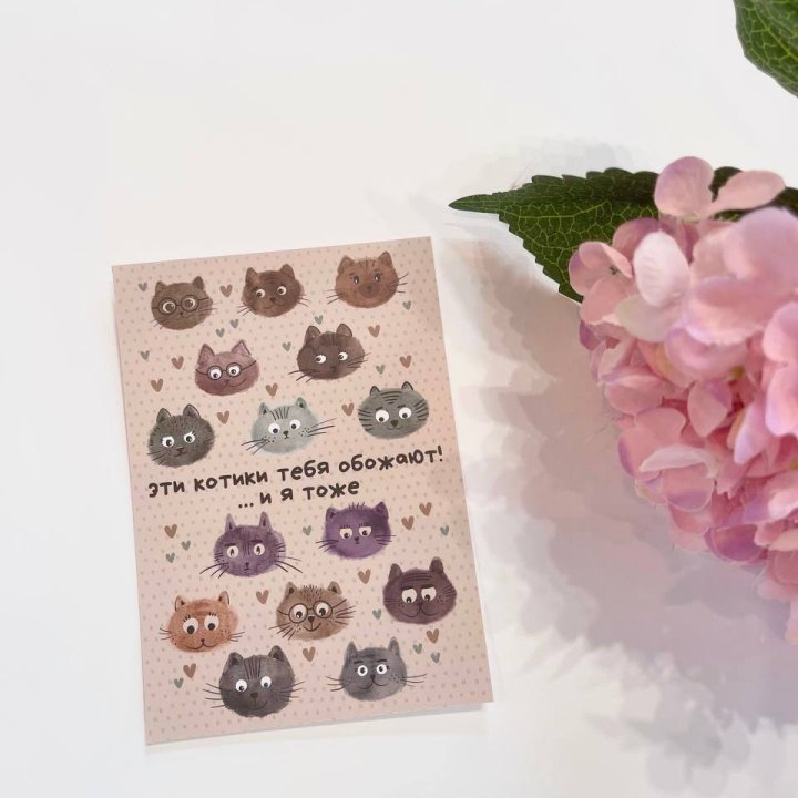 Открытка к букету "Котики" в Ростове-на-Дону