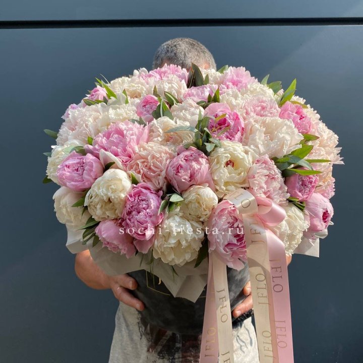 51 пионов в боксе в Ростове-на-Дону