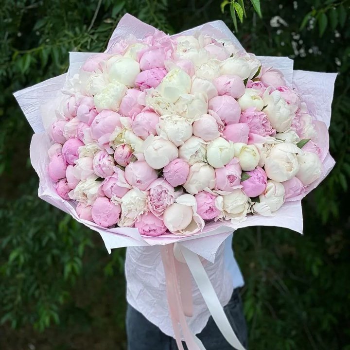 101 пион в Ростове-на-Дону