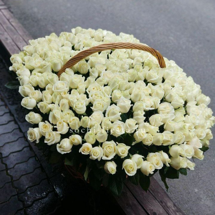 303 розы в корзине в Ростове-на-Дону