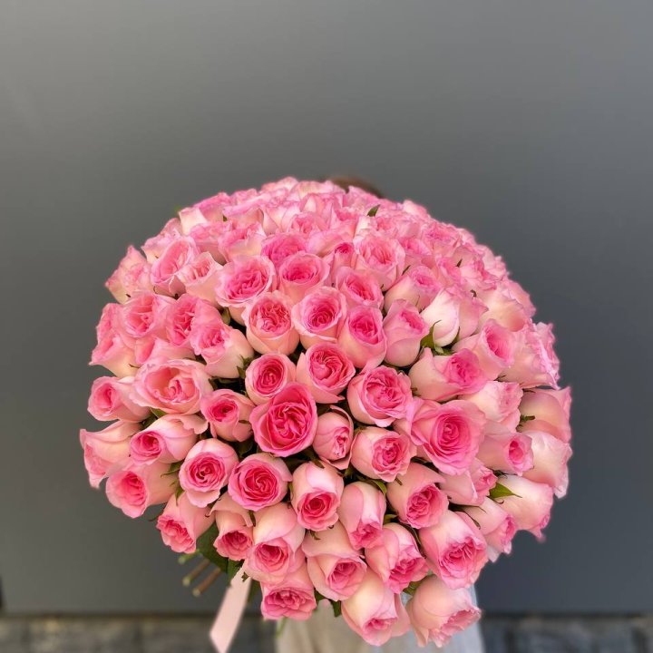 101 розовая роза с доставкой в Ростове-на-Дону