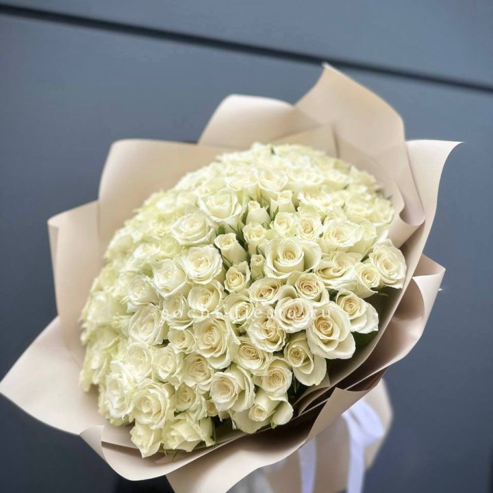 101 белая роза Атена с доставкой в Ростове-на-Дону