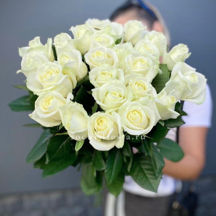 Голландские розы White 25 с доставкой в Ростове-на-Дону