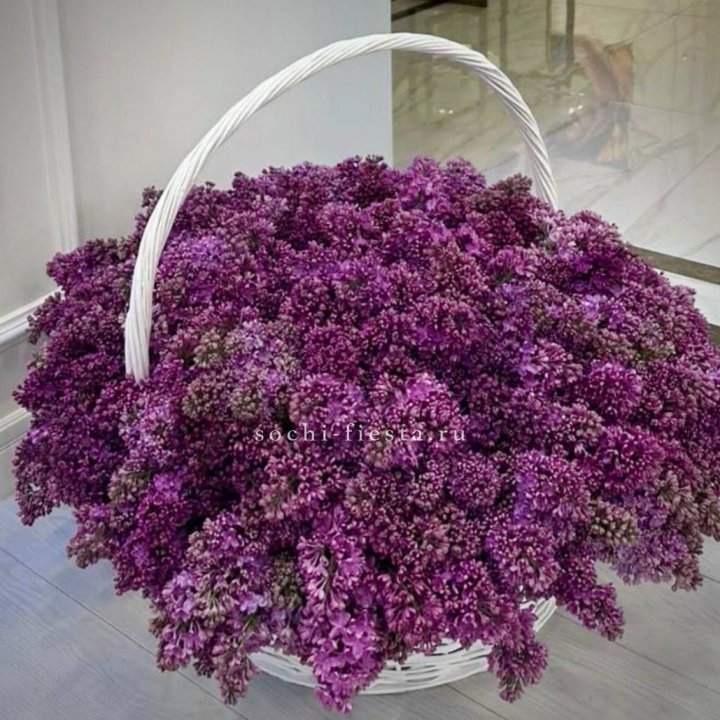 Корзина сирени в Ростове-на-Дону