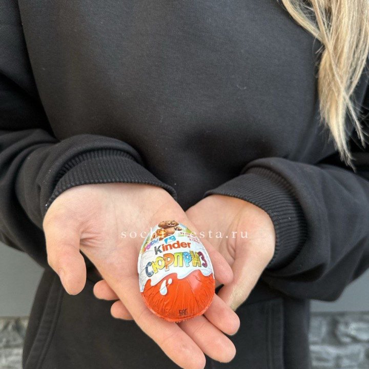 Яйцо "Киндер Сюрприз" в Ростове-на-Дону