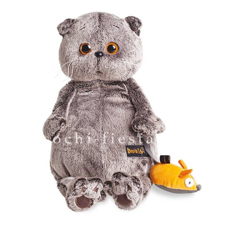 Кот Басик с мышкой в Ростове-на-Дону